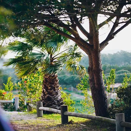ホテル Monte Velho Retreat Centre *