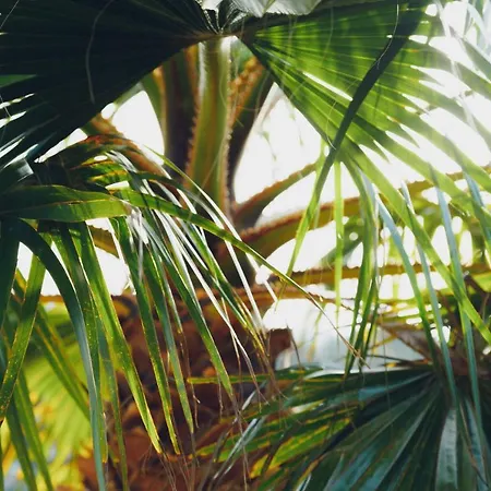 Monte Velho Retreat Centre ホテル *