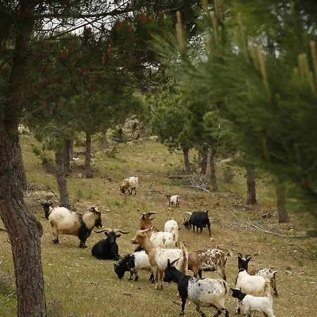 Monte Velho Retreat Centre