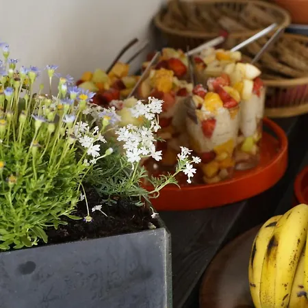 Monte Velho Retreat Centre * אלג'זור